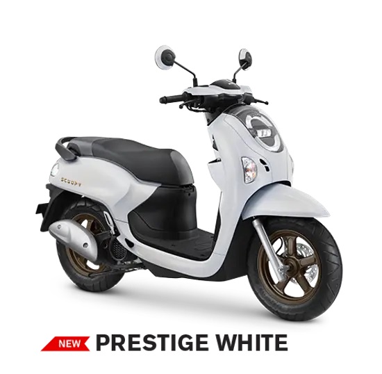 Scoopy - 