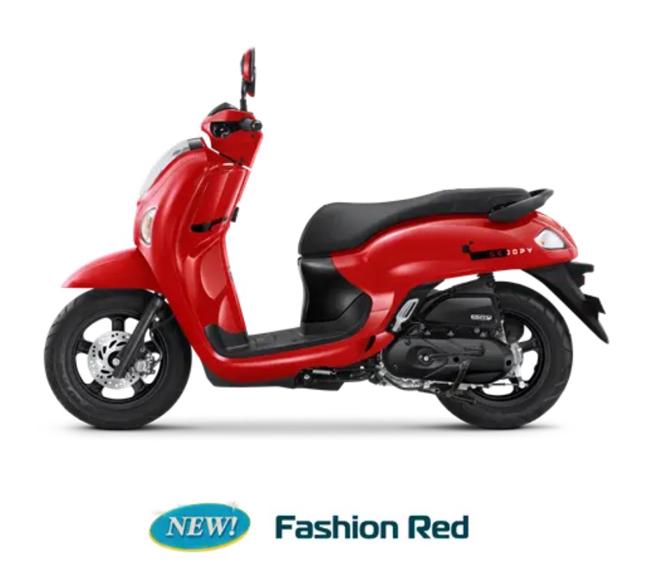 Scoopy - 