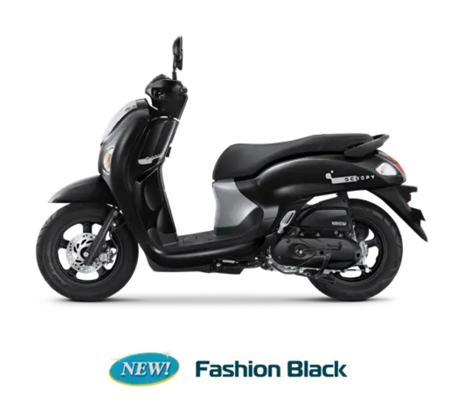 Scoopy - 
