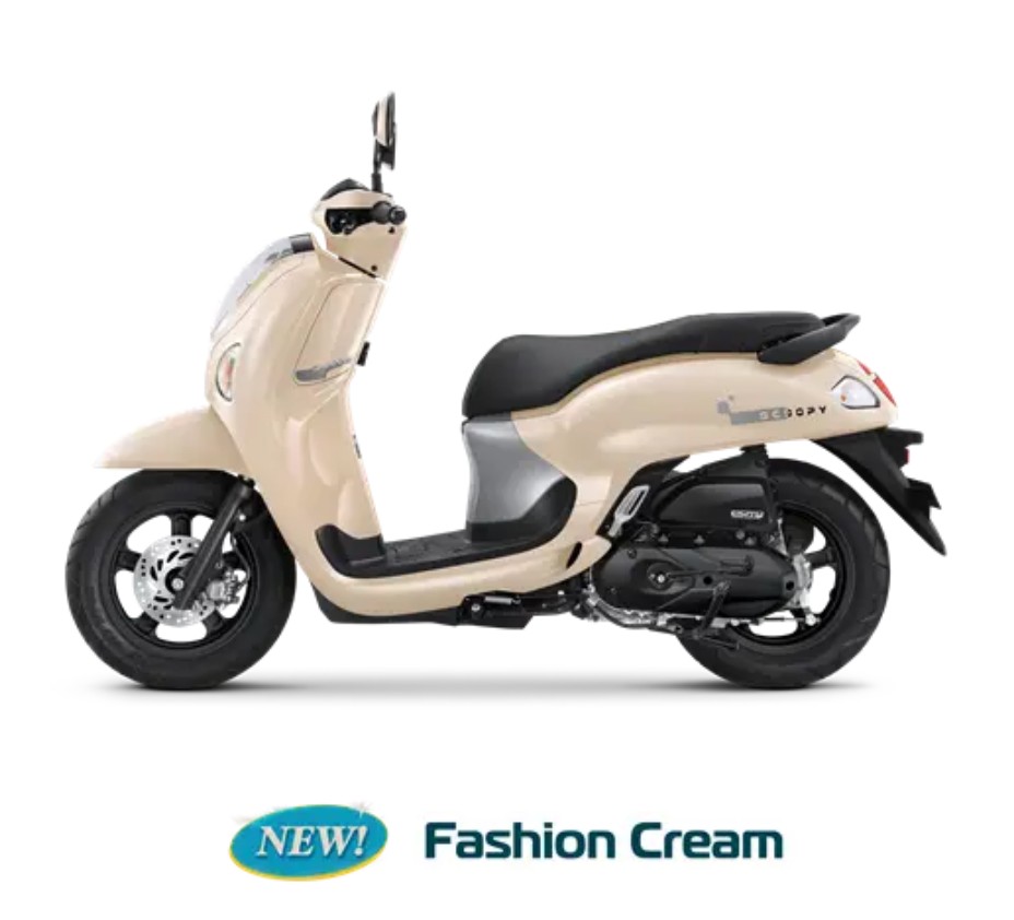 Scoopy - 