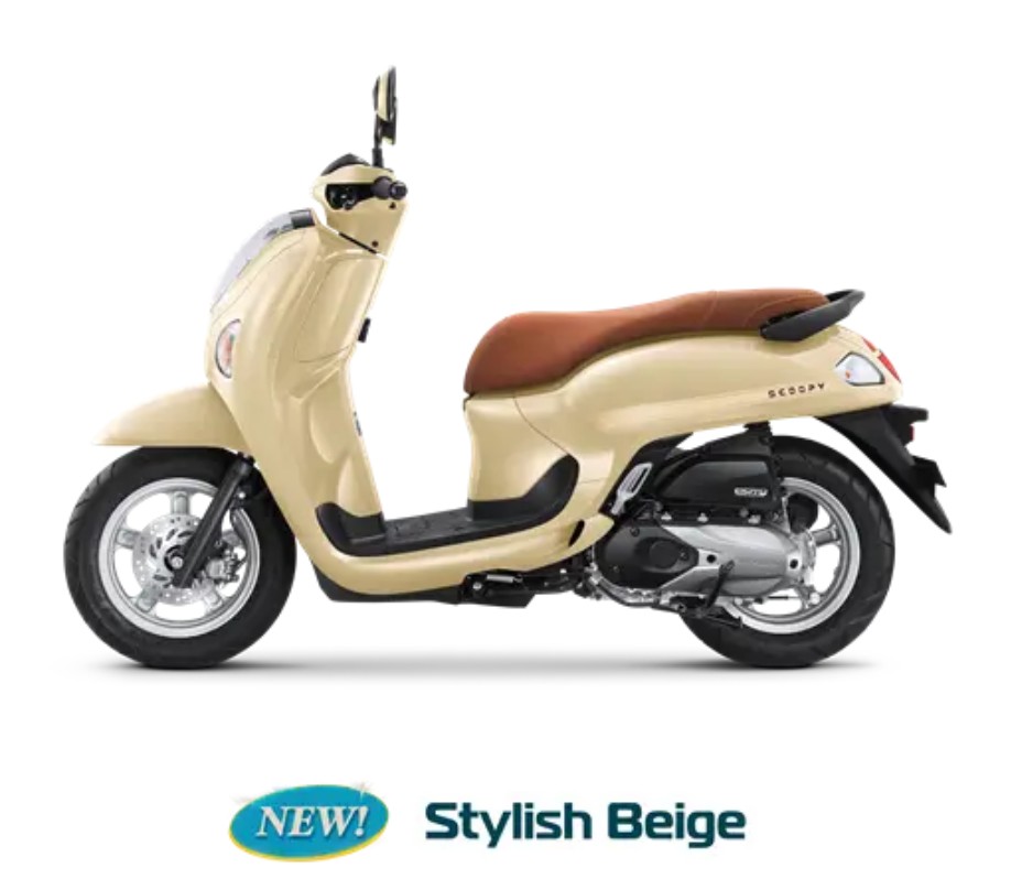 Scoopy - 