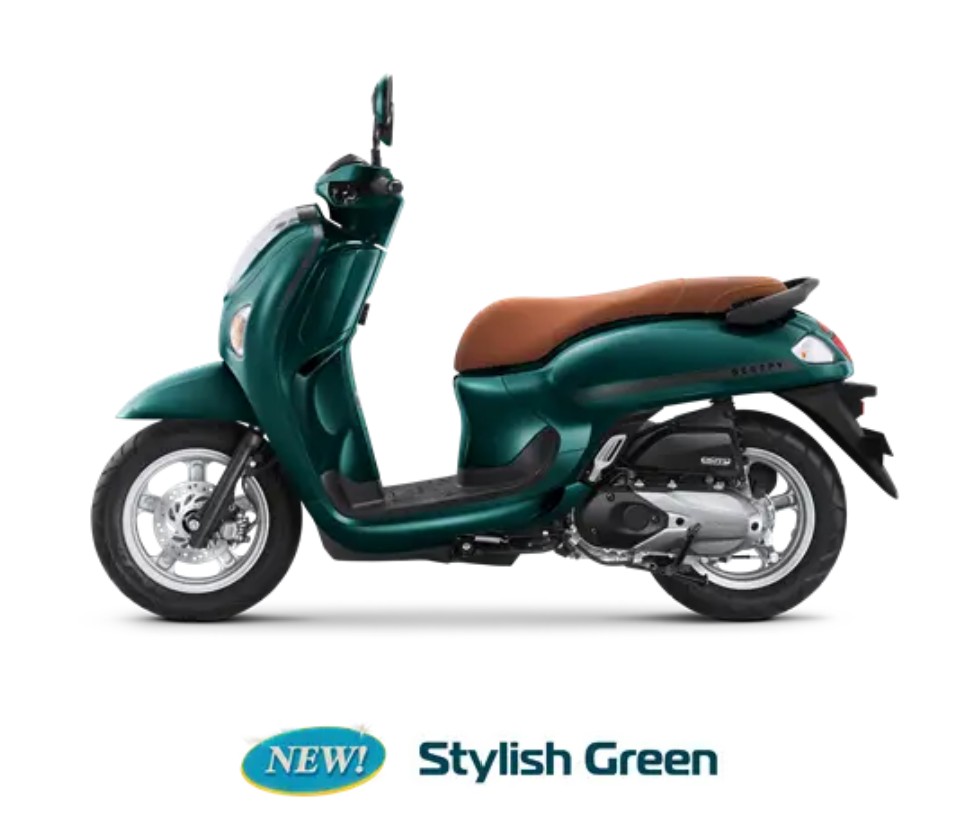 Scoopy - 