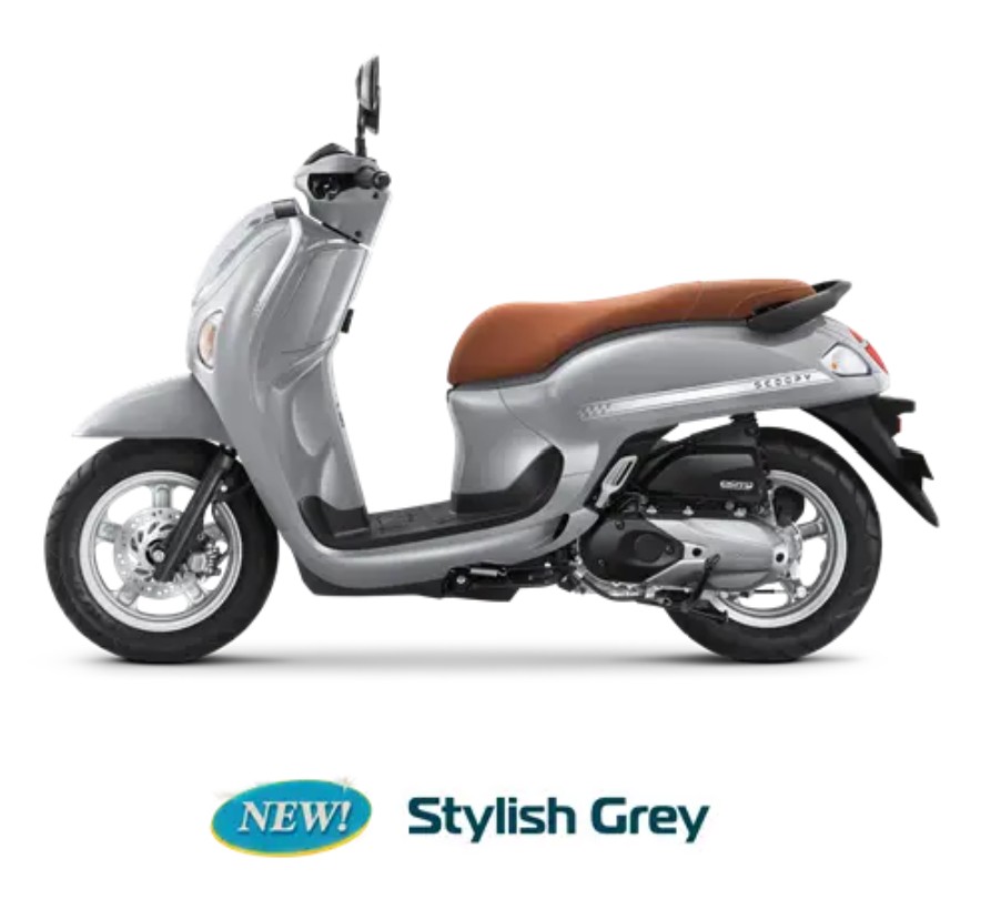 Scoopy - 